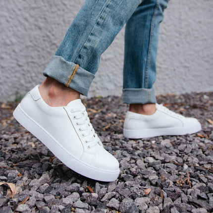 Low Top Sneakers