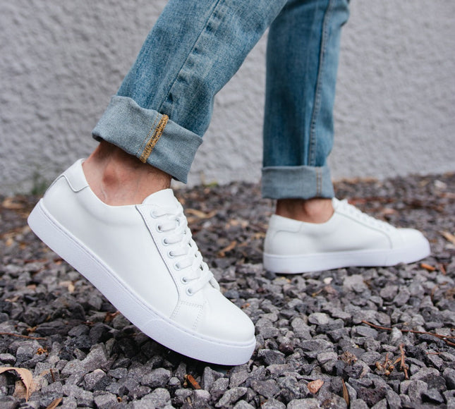 Low Top Sneakers